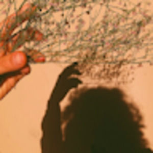 Meet your Posher, Vadi